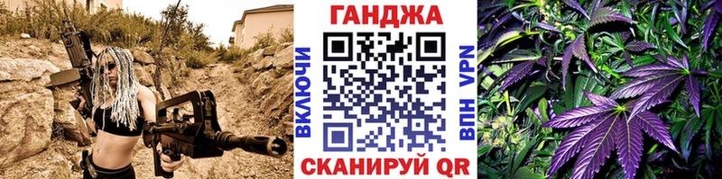 как найти наркотики  Яхрома  Каннабис индика 